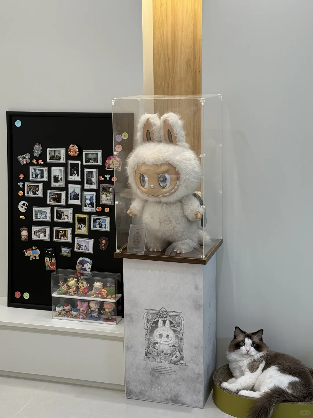 1040g3k831jfnmkn0j2lg5neaicm08ov9ebha6vond dft wlteh webp 3.webp